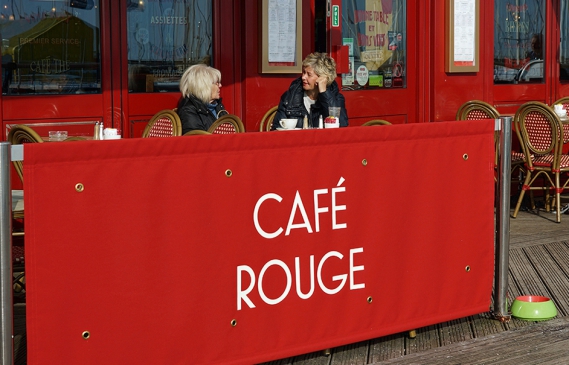 A confused herring gull looks through the window into the restaurant